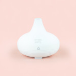 Simply Earth  Car Essential Oil Diffuser