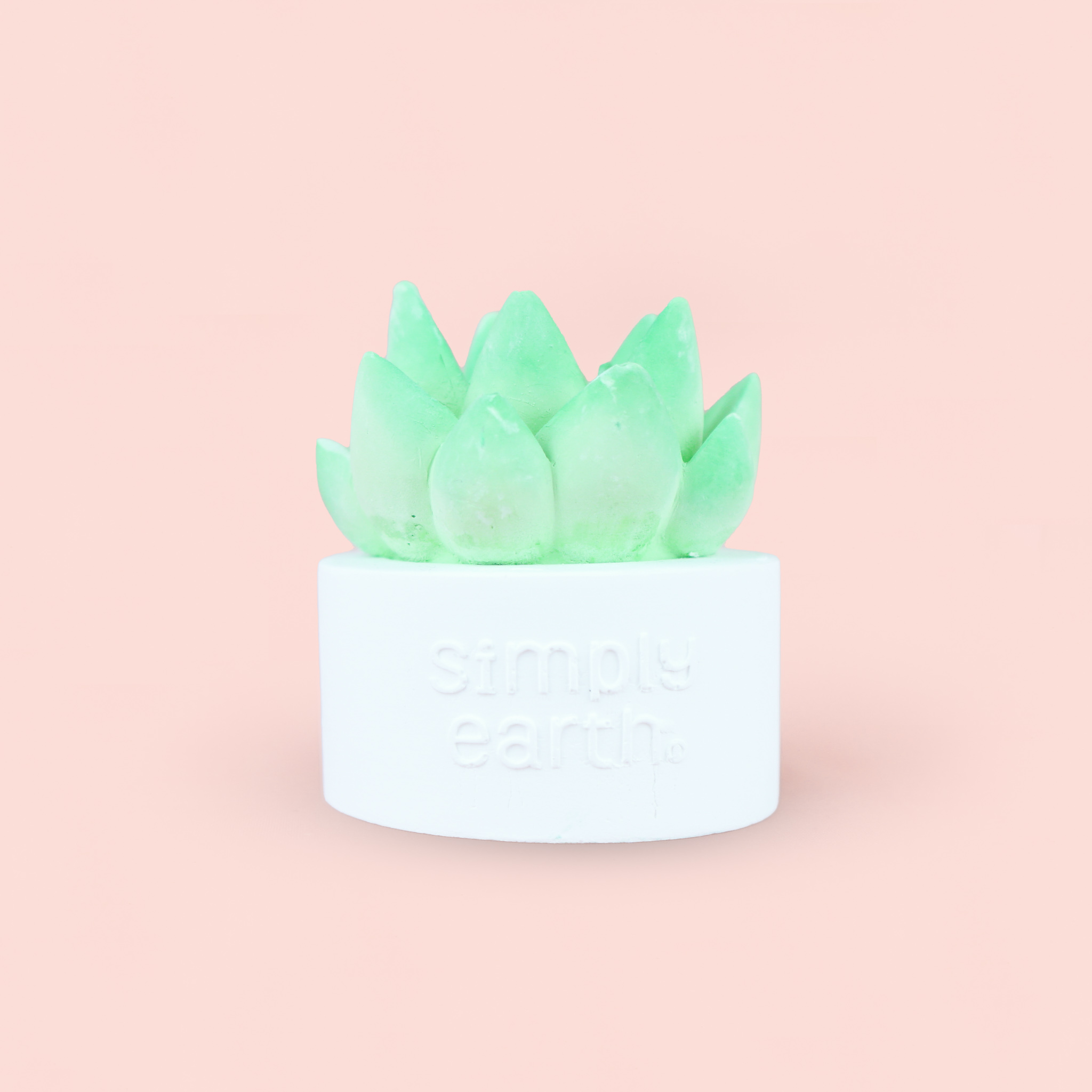 Succulent Essential Oil Diffuser