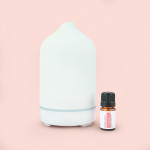 Wholesaler Stone Diffuser + Simply Us Blend 1