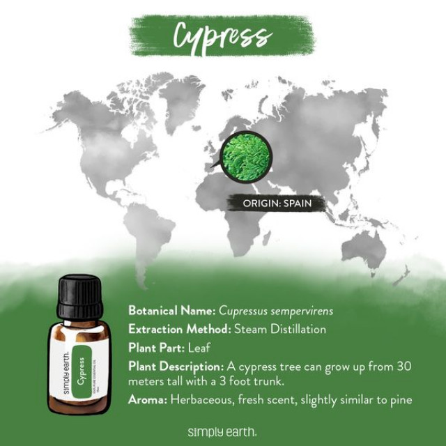 Cypress Essential Oil - Pure Cypress Oil Food Grade