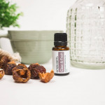 Soap Nuts (16oz) 2