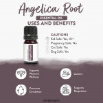 Angelica Root Essential Oil 6