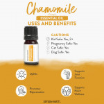Chamomile (German) Essential Oil 6