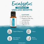 Eucalyptus (Globulus) Essential Oil 6