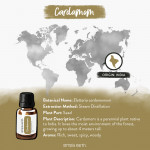 Cardamom Essential Oil 8