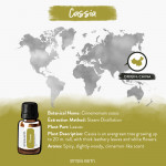 Cassia Essential Oil 8