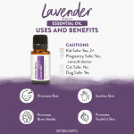 Lavender Essential Oil 6