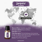 Lavender Essential Oil 8