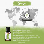 Oregano Essential Oil 8