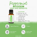 Peppermint Essential Oil 6