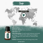 Sage Essential Oil 8