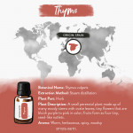 Thyme (Red) Essential Oil 8