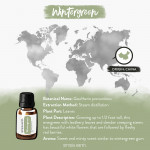 Wintergreen Essential Oil 8