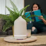 Stone Diffuser 3