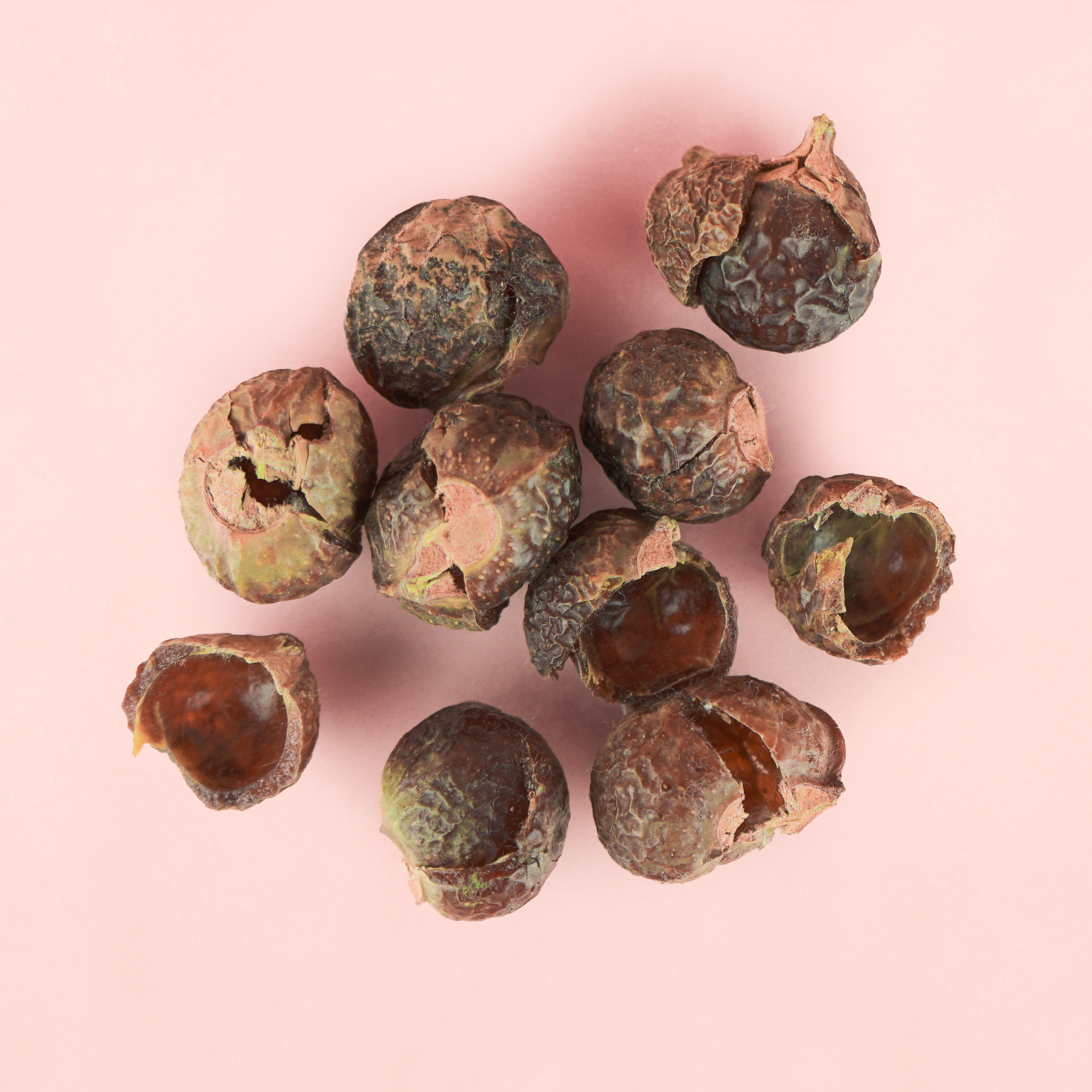 Soap Nuts (16oz)
