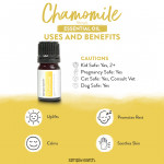 Roman Chamomile 3
